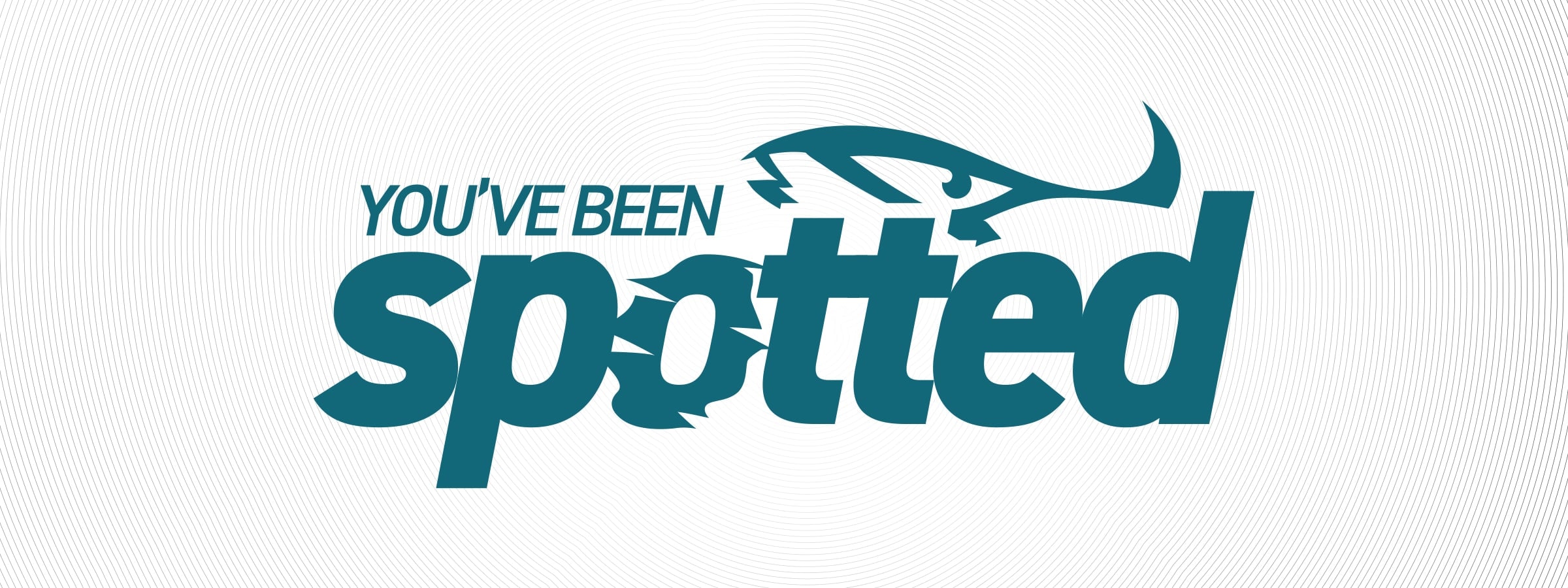 You've Been Spotted — hero