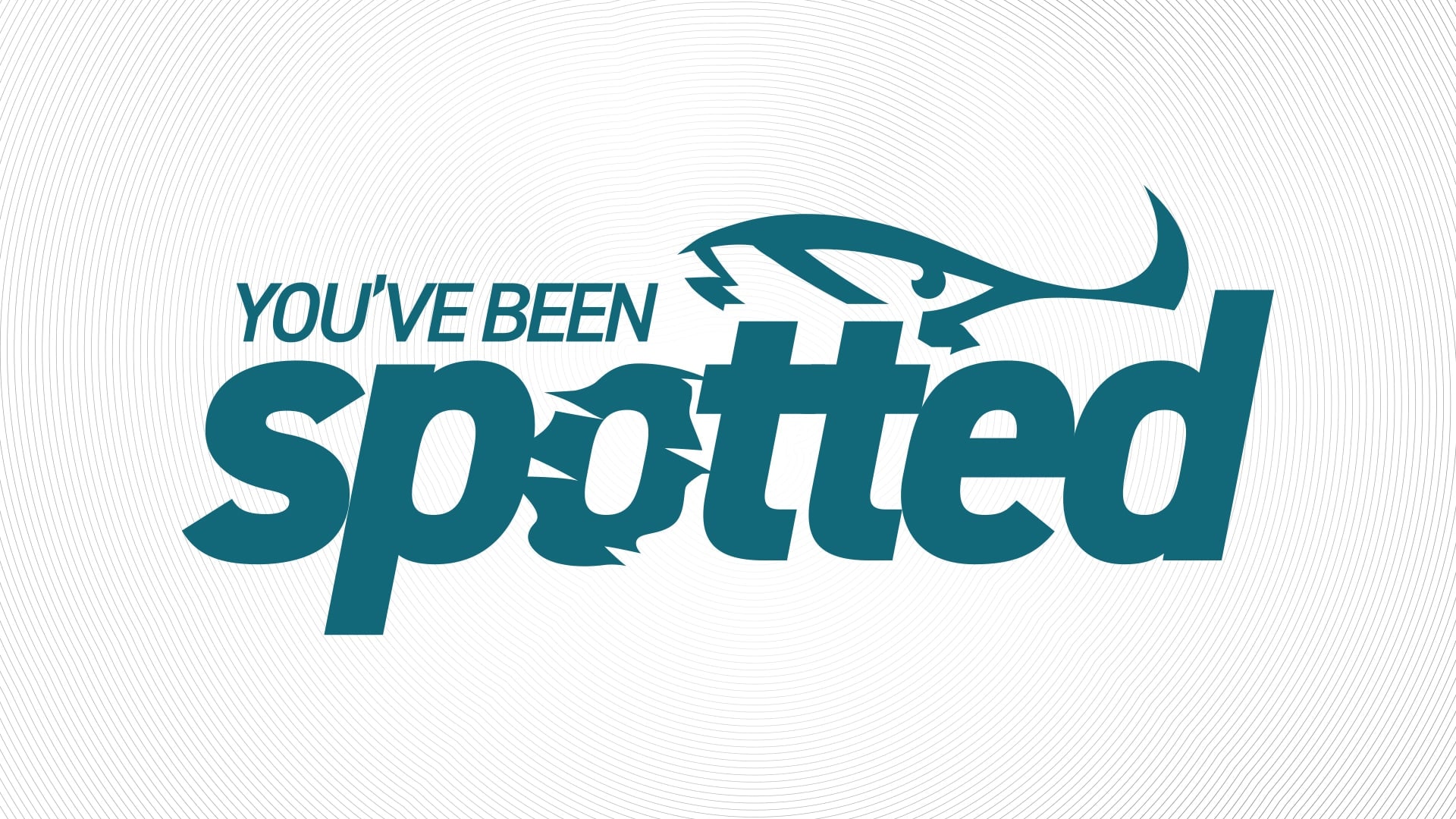 You've Been Spotted